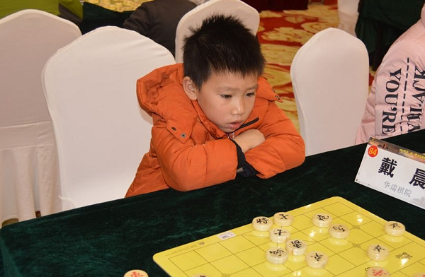 小棋手戴晨